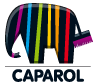 logo_caparol